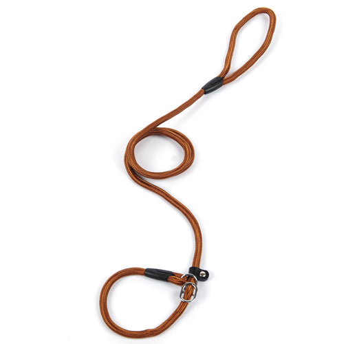 Halsband & Leine "GentleGuide" - Lockeres Gassigehen für Leichte Zieher