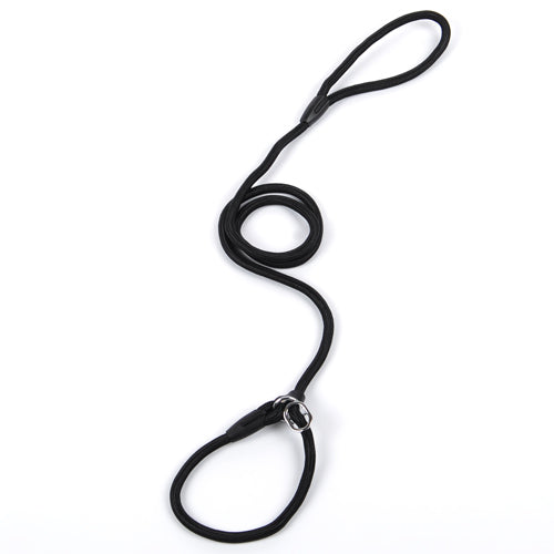 Halsband & Leine "GentleGuide" - Lockeres Gassigehen für Leichte Zieher