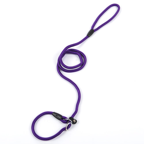 Halsband & Leine "GentleGuide" - Lockeres Gassigehen für Leichte Zieher