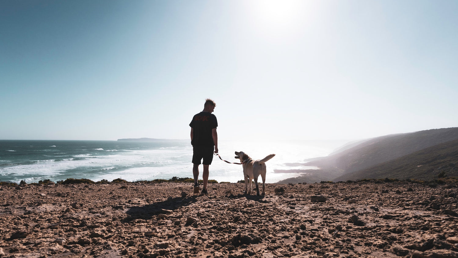 Bindung zwischen Mensch und Hund