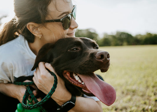 4 Wege wie Hunde unsere Gesundheit verbessern: Die positiven Effekte von Hunden auf Körper und Seele