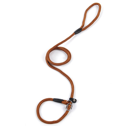 Halsband & Leine "GentleGuide" - Lockeres Gassigehen für Leichte Zieher