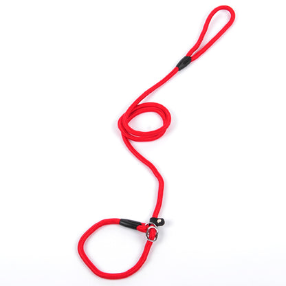 Halsband & Leine "GentleGuide" - Lockeres Gassigehen für Leichte Zieher
