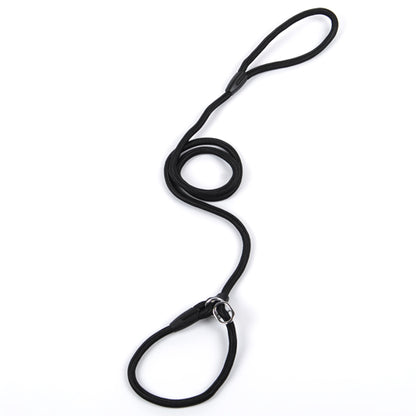 Halsband & Leine "GentleGuide" - Lockeres Gassigehen für Leichte Zieher